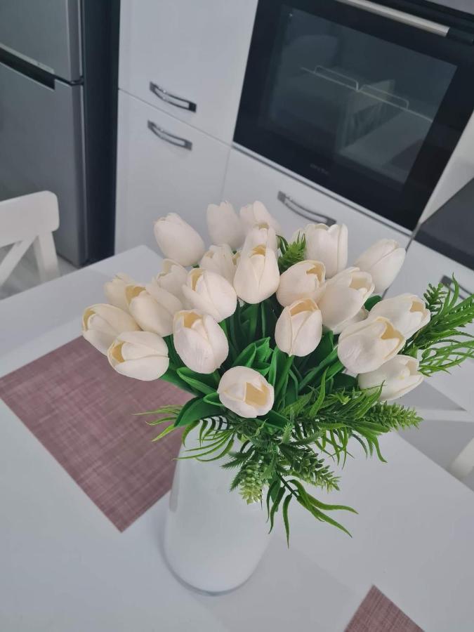 Sweet Home Sfintu Ilie Bagian luar foto